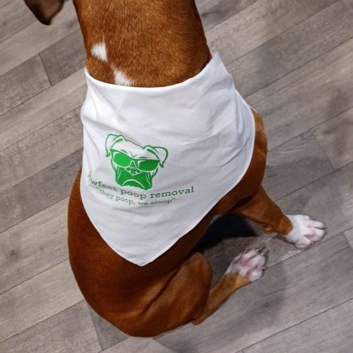 Pooper Scooper Service Pawfect Poop Removal Dog Poop Removal Service